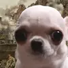 bwah012bwah