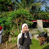 virr_26112011