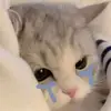 muniuoi_12