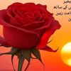 musafrafridi1