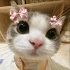 tiaa_softspoken_bgtt