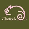 Chameleon Decor Art