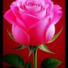 user199485900540