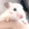 hi_van040