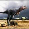 the_number1ozraptorfan
