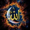 rappelislam681