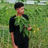 rx..badol