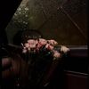faten2337