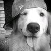 natttha_3