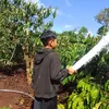 lucky.tp.bng