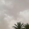 salim.ali7209
