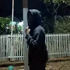 adit.adit8085