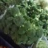 berkah.sayur316