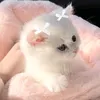 foguetes_da_katlen24