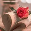 maheen.maher17