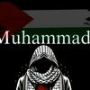 mohammed.cr762