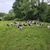 fleece.farmer.war