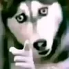 bensappinjh