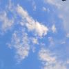 haihan_11