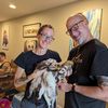 ferrets for adoption and rehom