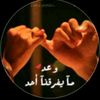 zoza8386