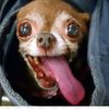 check my profile