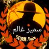 stormvoice4