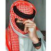 user8691466125452