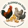 yatt.levage