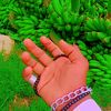danish.kumar.kaidi