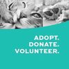 Dade Animal Service