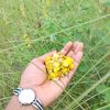 halima.khatun2730