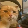 mangomangomango029