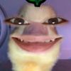 eykahwalll