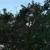 trullygossip