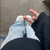 محاربة المشاهير 🥱