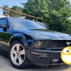 mustangtolis