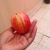ivan.nshimye