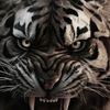 jrang.sdar