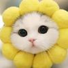 everyone_loves_pets