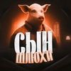 sin_sluhi01