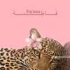 fatimadrgaam