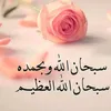 shilan66