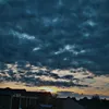 dextersdankatory1