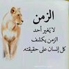 user26725060351560