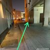 uae_king_1