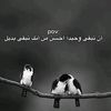 user8593831681550