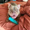 butterball_shenanigans