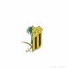 y._alyazedi
