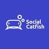 socialcatfish10